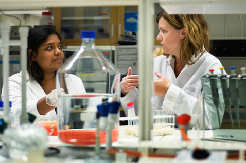 Two women working in a lab, wearing white coats. Photo.