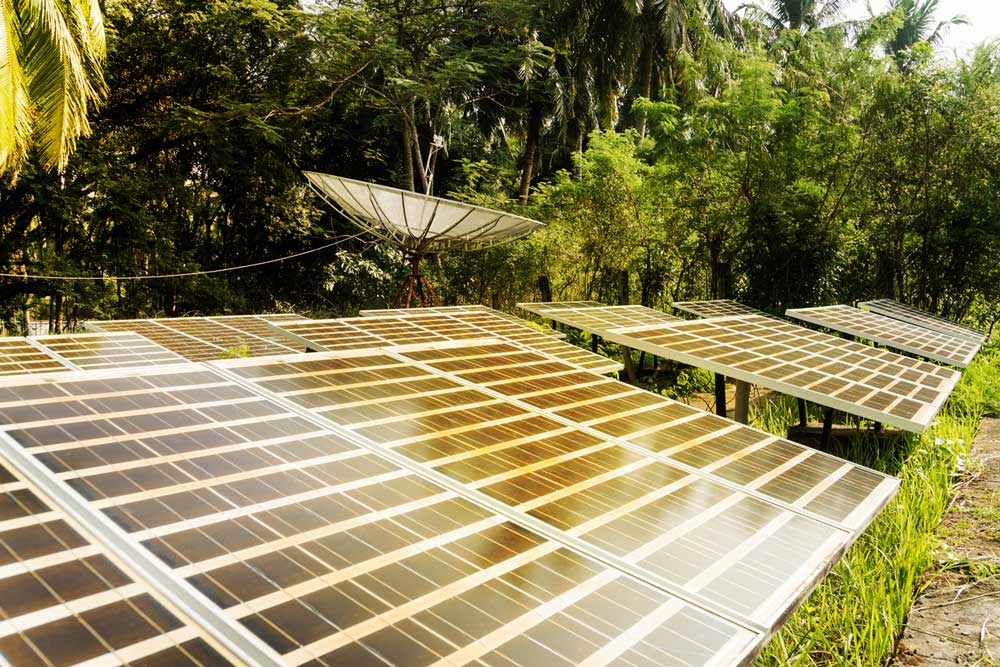 Solar panels in greenery. Photo.